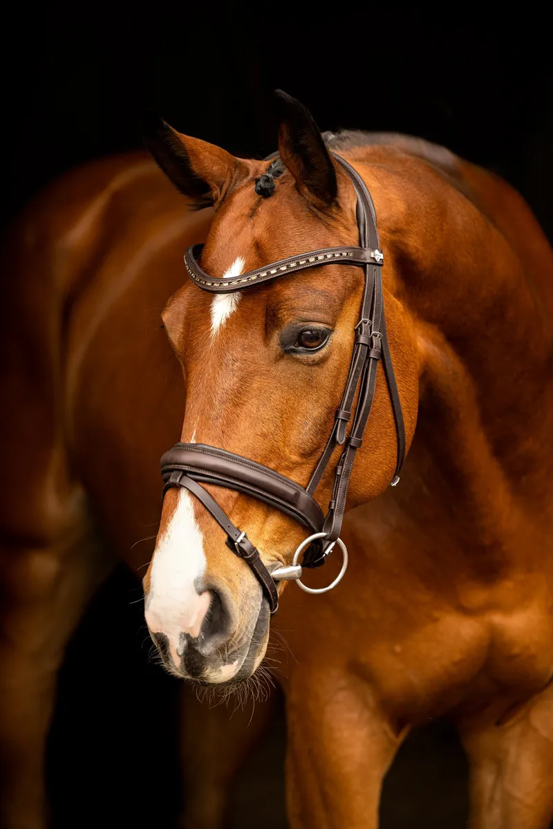 LeMieux Arika Dressage Bridle in Brown and Silver